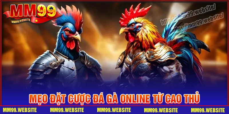 Kinh nghiệm cá cược đá gà online thu lợi nhuận cao