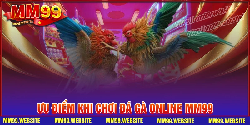 Vì sao anh em nên chọn sảnh đá gà online MM99?